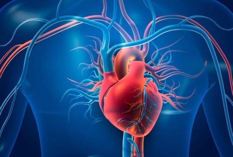 1734369795.916405_336971_image