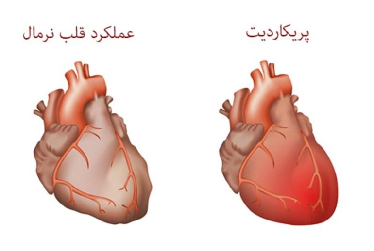 1734369839.370976_983622_image